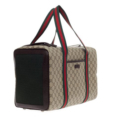 gucci dog carrier for sale.